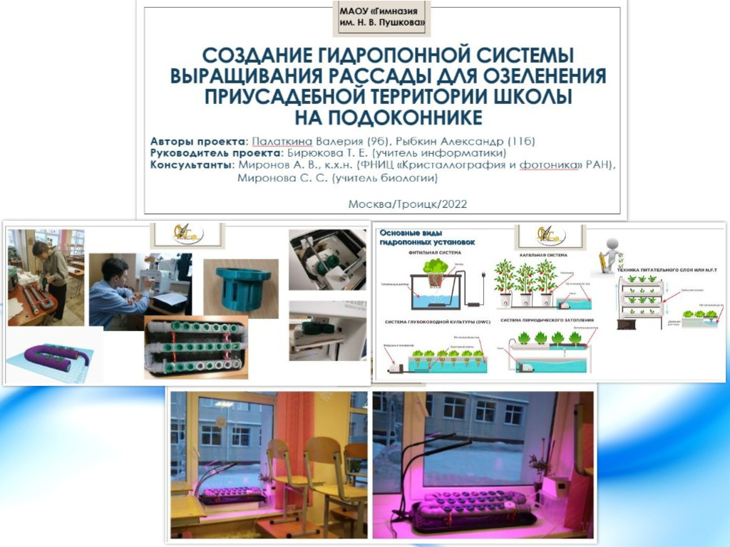 Создание гидропонной системы выращивания рассады для озеленения приусадебной территории школы на подоконнике