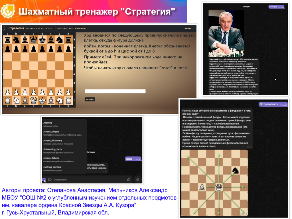 ШАХМАТНЫЙ ТРЕНАЖЕР 